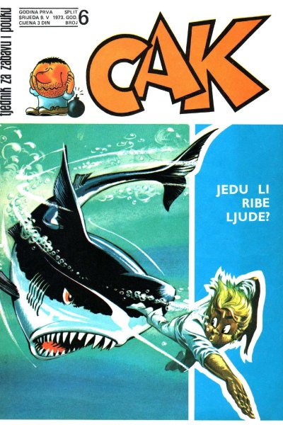 CAK 06